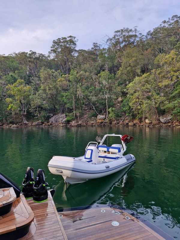 Tender Sea Scooter